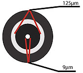 Singlemode Fiber